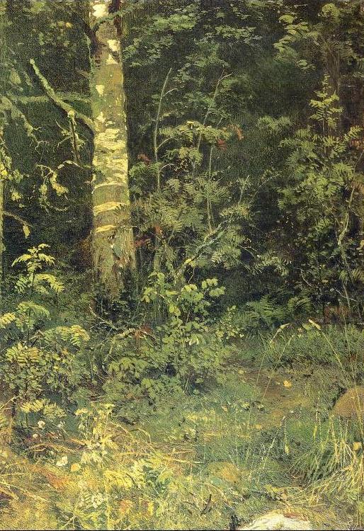 Ivan Shishkin Birch and Pocks china oil painting image